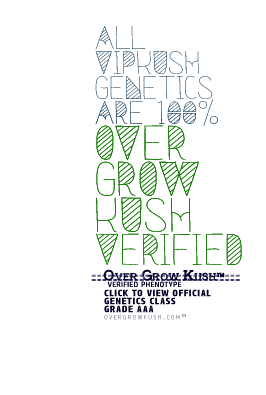 OverGrowKush Trusted Link